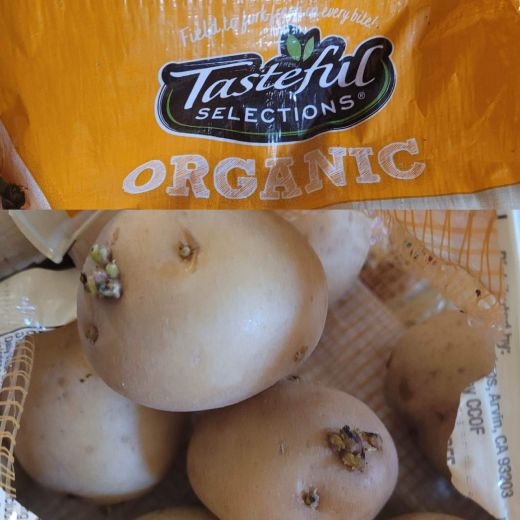 Tasteful Selections - Organic Golden Potatoes Sprouting Eyes